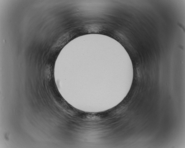 X0000103970311200809191405