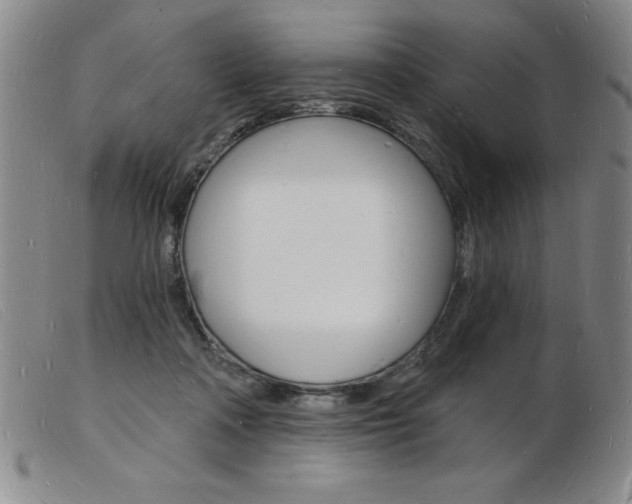 X0000103970314200809191405