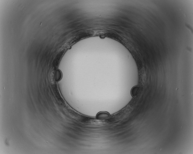 X0000103970316200809191405