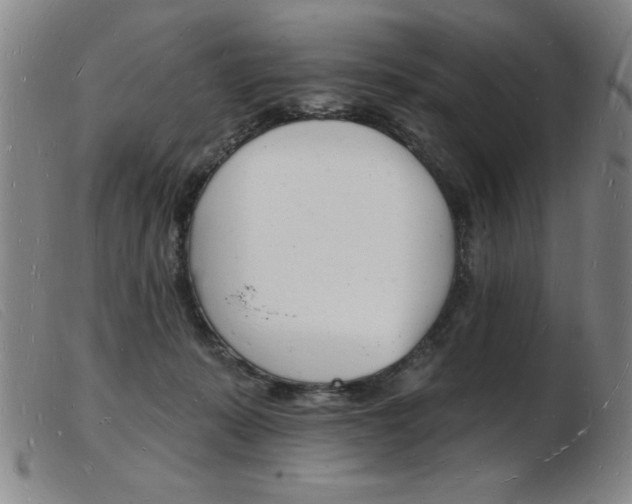 X0000103970319200809191405