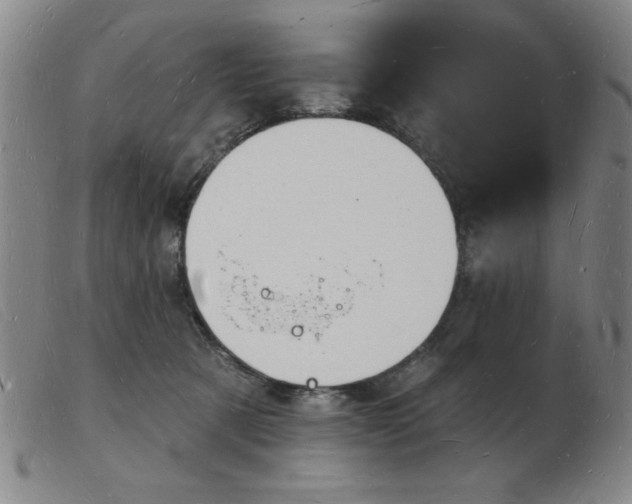 X0000103970321200809191405