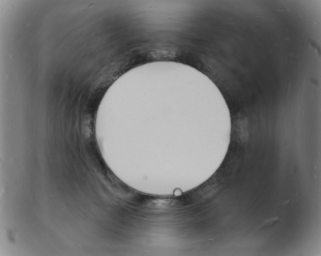 X0000103970323200809191405