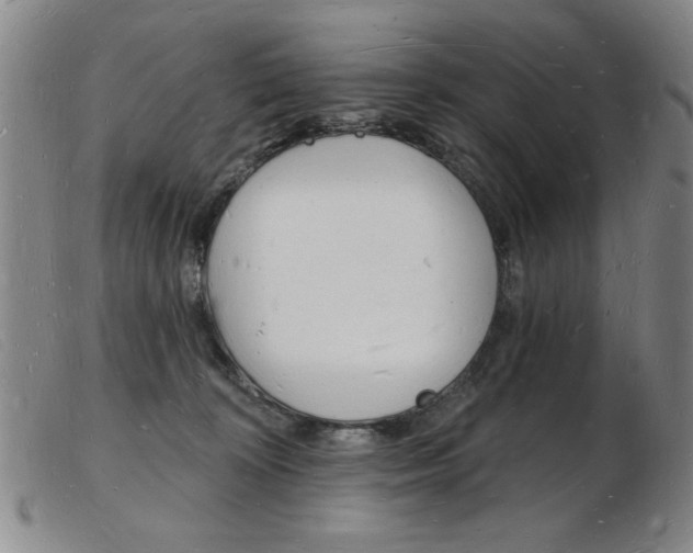 X0000103970324200809191405