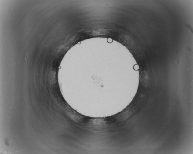 X0000103970327200809191405