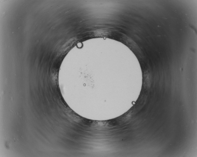 X0000103970329200809191405