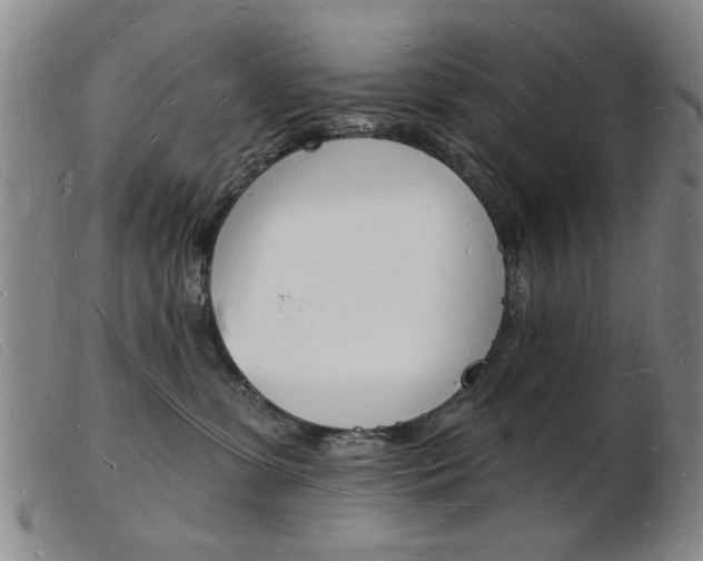 X0000103970331200809191405