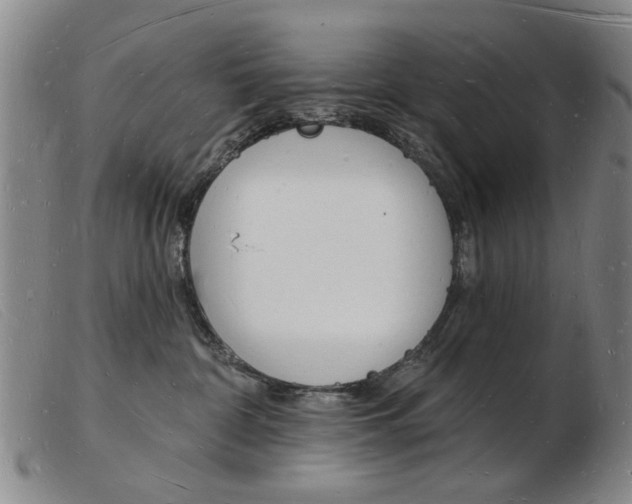 X0000103970332200809191405