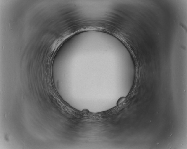 X0000103970337200809191404
