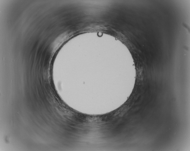 X0000103970340200809191404