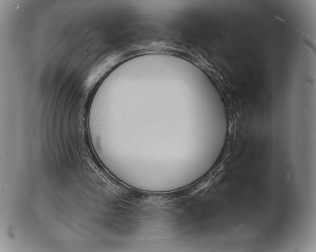 X0000103970341200809191404