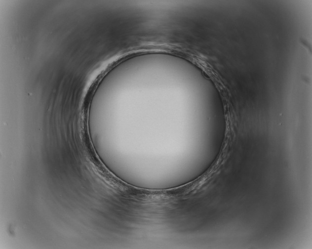 X0000103970342200809191404