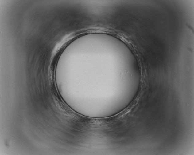 X0000103970343200809191404