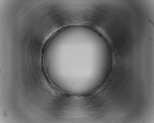 X0000103970346200809191404