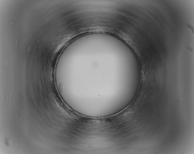 X0000103970347200809191404