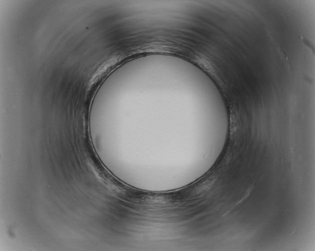 X0000103970349200809191404