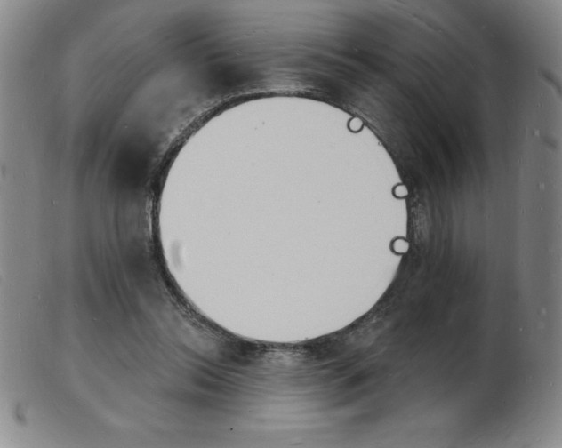 X0000103970350200809191404
