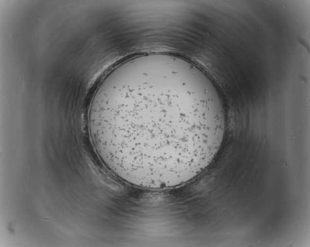 X0000103970351200809191404