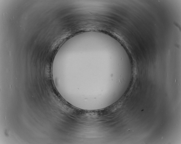 X0000103970353200809191404