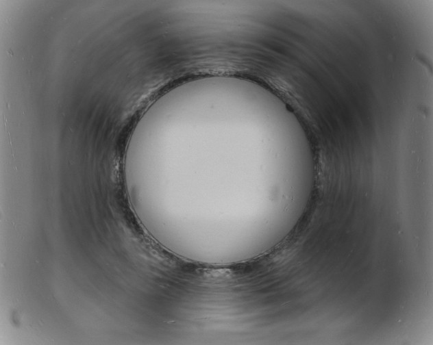 X0000103970355200809191404