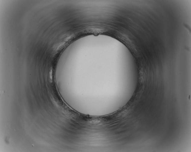 X0000103970358200809191404