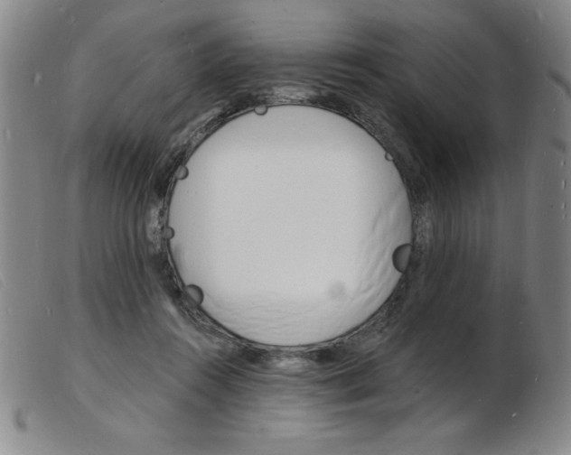X0000103970360200809191404