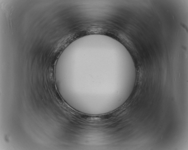 X0000103970361200809191404
