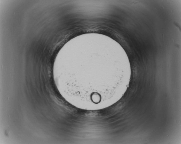 X0000103970362200809191404