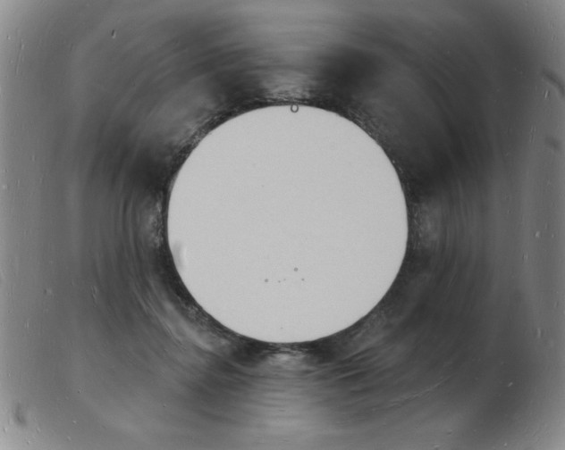 X0000103970364200809191404