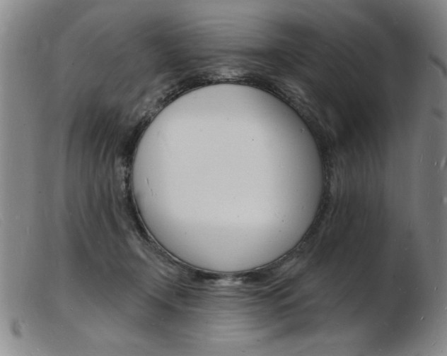 X0000103970366200809191404