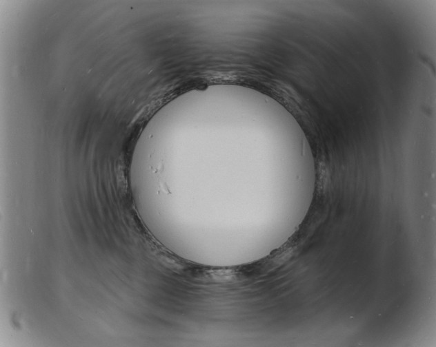 X0000103970377200809191405