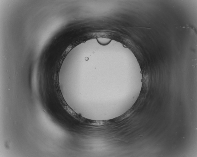 X0000103970381200809191405