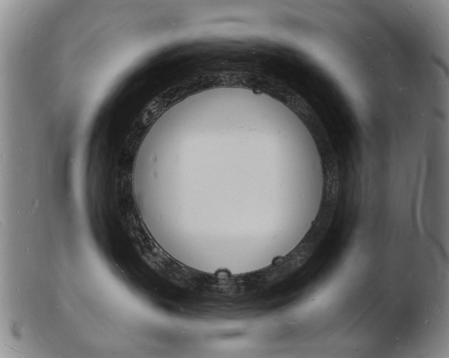 X0000103970383200809191405