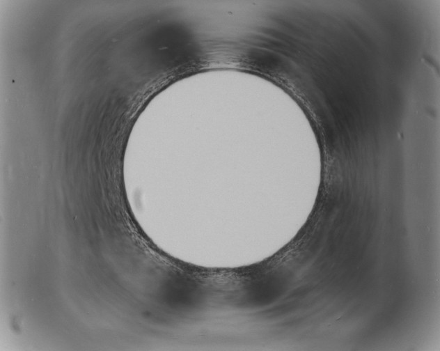 X0000103970385200809191404