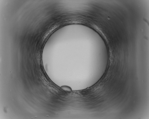 X0000103970386200809191404