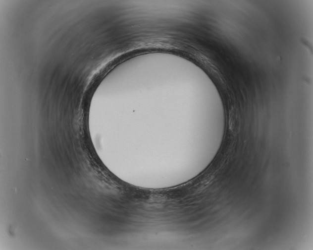 X0000103970388200809191404