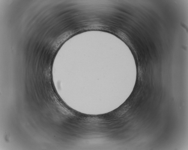 X0000103970389200809191404