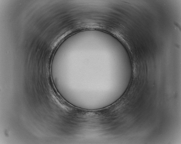 X0000103970390200809191404