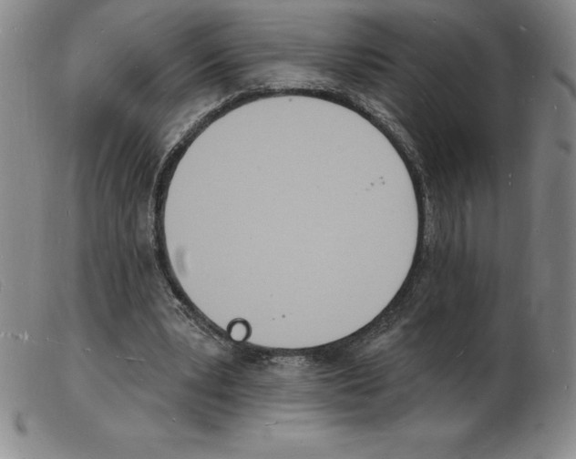 X0000103970391200809191404