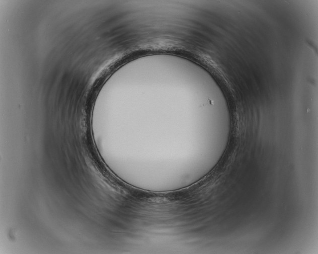 X0000103970392200809191404