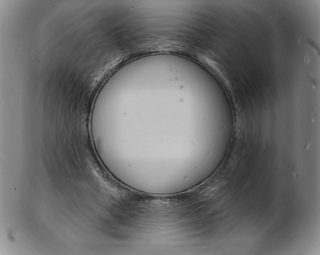 X0000103970394200809191404