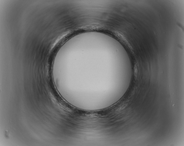 X0000103970396200809191404