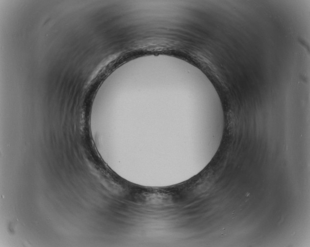 X0000103970400200809191404