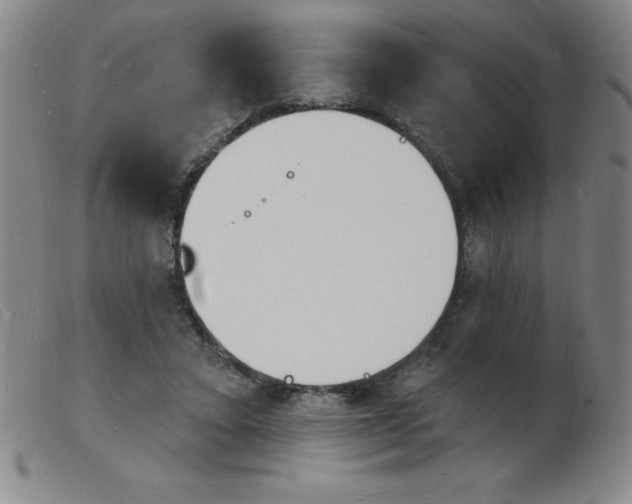 X0000103970403200809191404