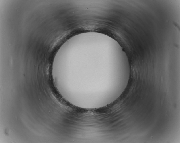 X0000103970404200809191404
