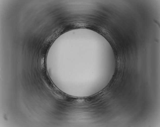 X0000103970406200809191404