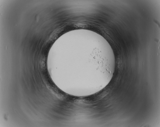 X0000103970408200809191403