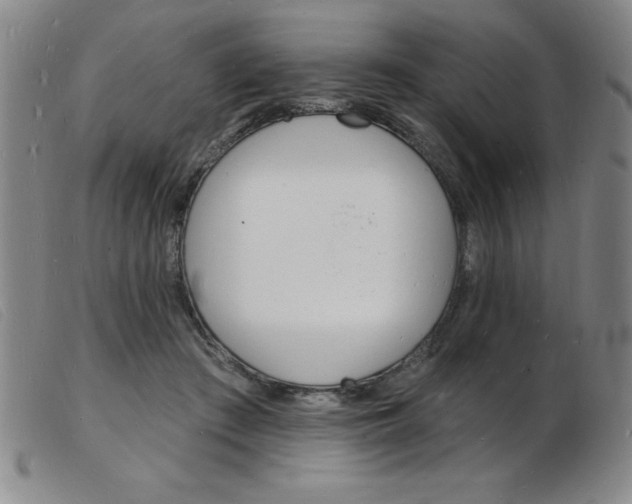 X0000103970409200809191403