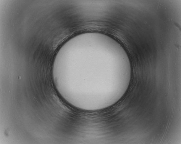 X0000103970411200809191403