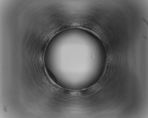 X0000103970415200809191403