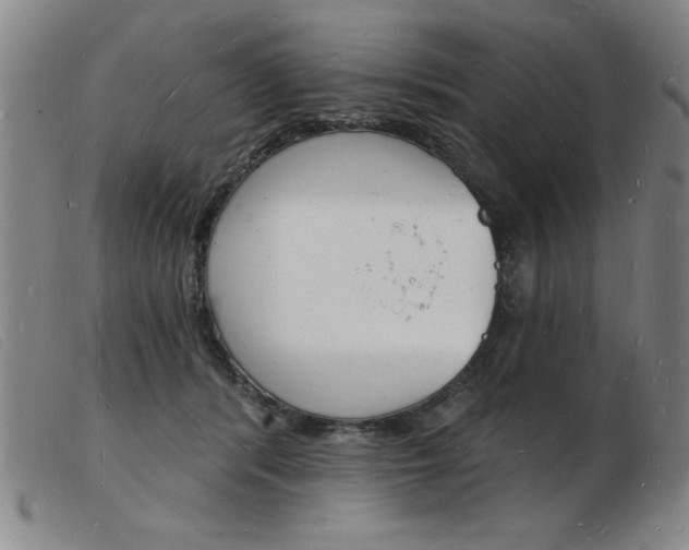 X0000103970416200809191403